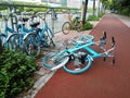 Shared bikes were thrown to the ground Royalty Free Stock Photo