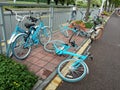 Shared bikes were thrown to the ground Royalty Free Stock Photo