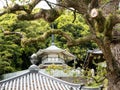 On the shared grounds of Kannonji and Jinnein, temples 68 and 69 on Shikoku