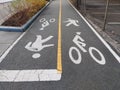 Shared Path, Bike Path, Walking Path, Two Way Crossing Royalty Free Stock Photo