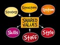 Shared values management mind map