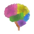Shares of the brain polygon 2 Royalty Free Stock Photo