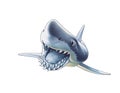 Shark_1 Royalty Free Stock Photo