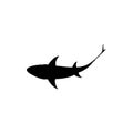 Shark silhouette. Monochrome illustration of stylized shark. isolated on white background