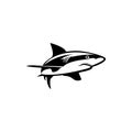 Shark art. Monochrome illustration of stylized shark. isolated on white background