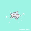 Cute thresher shark illustration