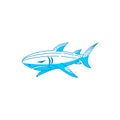 Shark Aggressive logo design vector isolated illustration Royalty Free Stock Photo