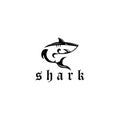 Shark animal logo vector design illustration Royalty Free Stock Photo
