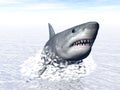 Shark attack - 3D render Royalty Free Stock Photo