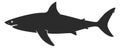 Shark black silhouette. Dangerous ocean predator icon