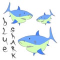 Shark blue poster