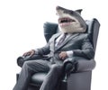 Shark boss wearing business suit sitting in armchair isolated on white background, corporate portrait. Generative AI