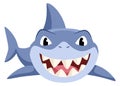 Shark character with teeth. Cartoon animal. Ocean mascot Royalty Free Stock Photo