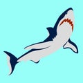 Shark color vector illustration style Flat