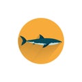 shark colorful flat icon with long shadow. Royalty Free Stock Photo