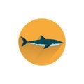 shark colorful flat icon with long shadow. Royalty Free Stock Photo