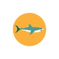 shark flat icon with shadow. shark flat icon Royalty Free Stock Photo