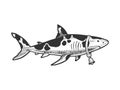 Shark cow animal sketch vector illustration Royalty Free Stock Photo