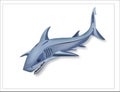 Shark 3d logo LOGO Royalty Free Stock Photo