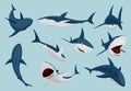 Shark in different poses. Marine predator fish character. Underwater wildlife and ocean animals. Cartoon flat isolated Royalty Free Stock Photo