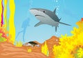 Shark and divers Royalty Free Stock Photo