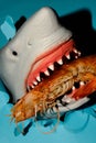 Shark Eating Shrimp Royalty Free Stock Photo