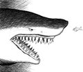 Shark facing a small fish Royalty Free Stock Photo