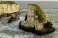 Shark Fin Cove Royalty Free Stock Photo