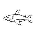 Shark fish icon vector design template basic RGB