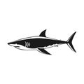 Shark fish icon vector design template basic RGB