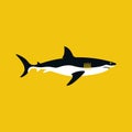 Shark icon. Big white shark. Sea dangerous predator Royalty Free Stock Photo