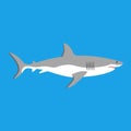 Shark icon. Big white shark. Sea dangerous predator Royalty Free Stock Photo