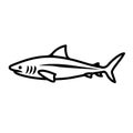 Shark icon. Black line vector isolated icon on white background.