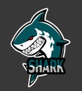 Shark icon sign logo vector