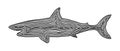 A shark illustration icon in black offset line. Fingerprint style for logo or background.