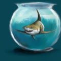 Shark inside a fish bowl illustration Royalty Free Stock Photo