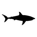 Shark isolated black silhouette. Side view. Marine animal. White background. Vector illustration clipart. Tiger or blue shark Royalty Free Stock Photo