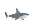 Shark isolated. Marine predator vector illustration. Large predatory sea fish
