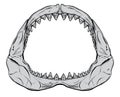 Shark Jaw Royalty Free Stock Photo