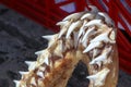 Shark jaw bone with sharp shark teeth at local market in Cape Town, Soth Africa