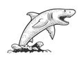 shark jumps out of water sketch vector