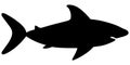 Shark. Large predatory sea fish. Silhouette. Vector stock illustration. White isolated background. Flat style. Underwater monster