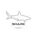 Shark line icon with shadow