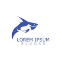 Shark Logo animal sea design icon vector silhouette template Royalty Free Stock Photo