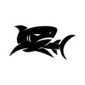 Shark logo design Character vector isolated concept template