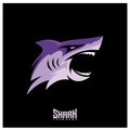 Shark Logo Design Vector. Sharks Logo for a club or sport team Royalty Free Stock Photo