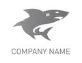 Shark logo design