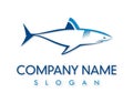 Shark logo design