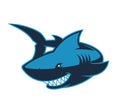 Shark logo mascot Royalty Free Stock Photo