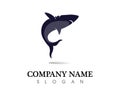 Shark Logo Template and design vector fish wild sea animal